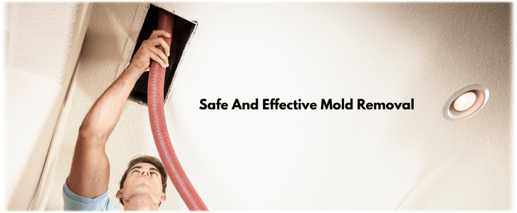 Air Duct Mold Removal in Pearland