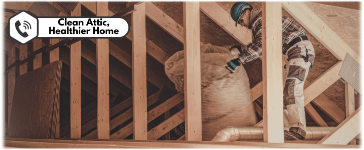 Attic Cleaning Pearland