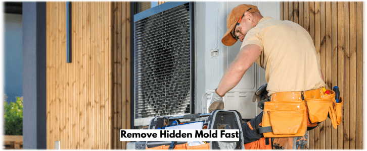 HVAC Mold Removal Pearland